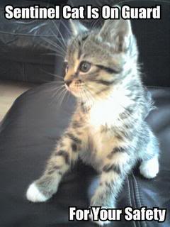 LolCatRenderer2.jpg