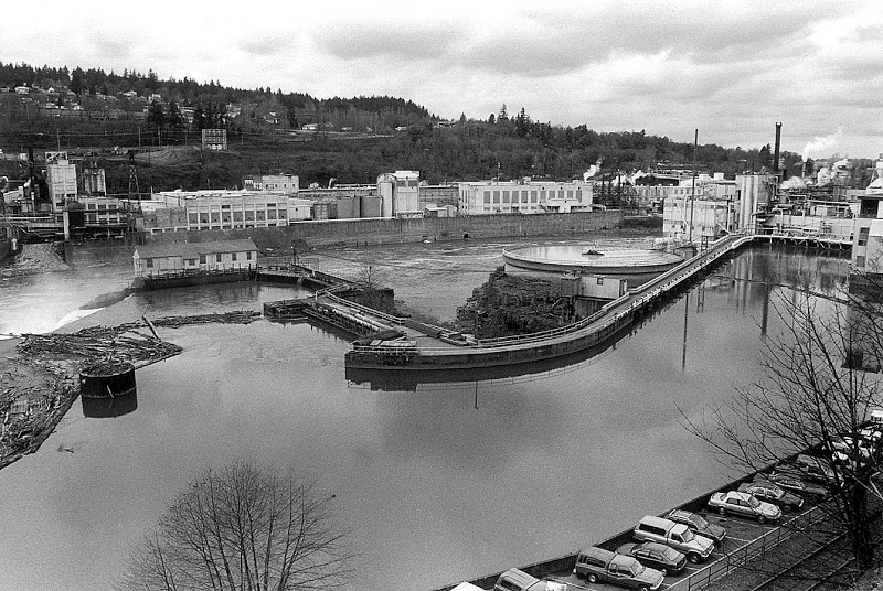 smurfit%20panorama.jpg
