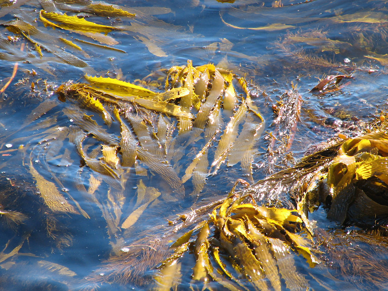 IMG4729-L.jpg