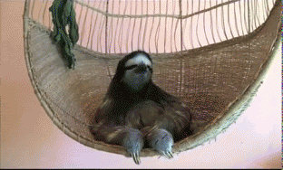 WCFjTpc.gif