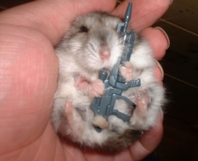 Armed-baby-hamster.jpg