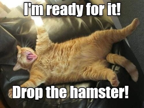 im-ready-for-it