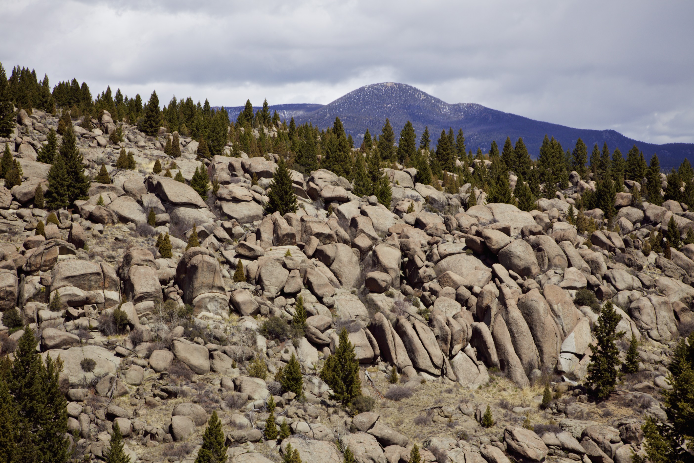 homestakerocks264201105.jpg