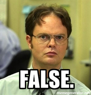 dwight-schrute-false-jpg.17454