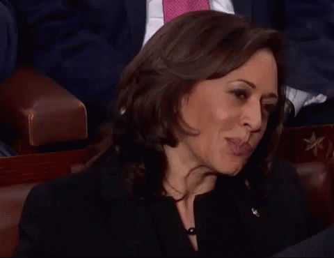 sotu-shaking-head.gif