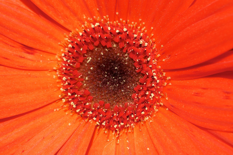 p46813100-4.jpg