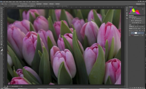 PS6-ui_610x375-500x307.jpg