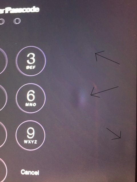 29kxv01.jpg