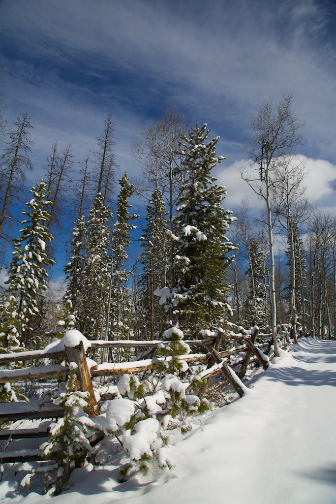 aprilsnow201204073093.jpg
