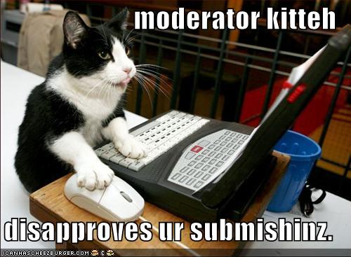 lolCat.jpg