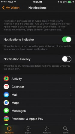 Notification-Indicator-Apple-Watch-250x444.jpeg