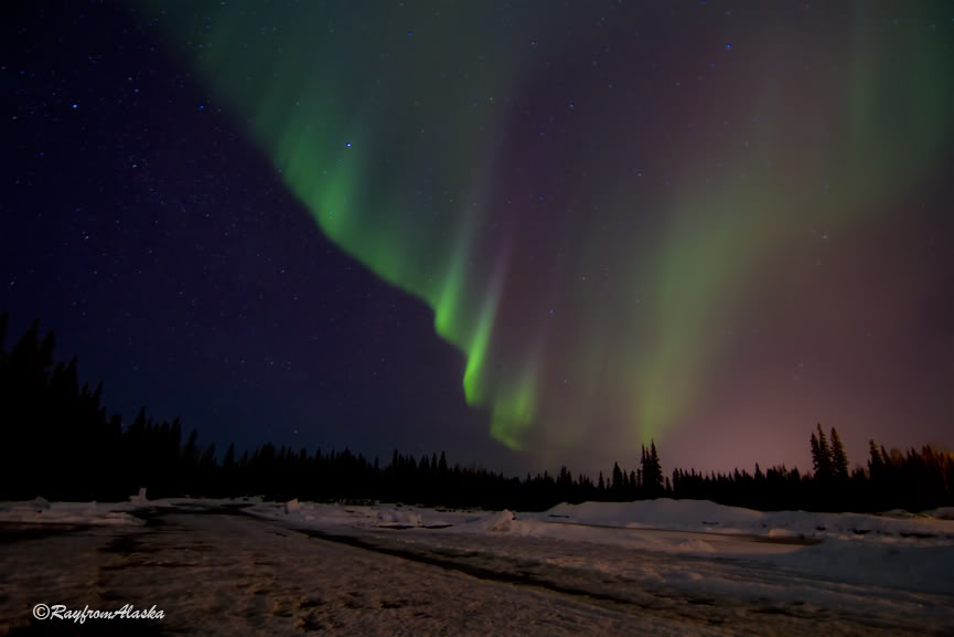 Auroras_2242.jpg