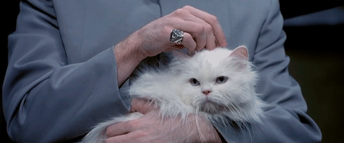 tumblr_mcl59sjb7K1qb9pa3o1_500.gif