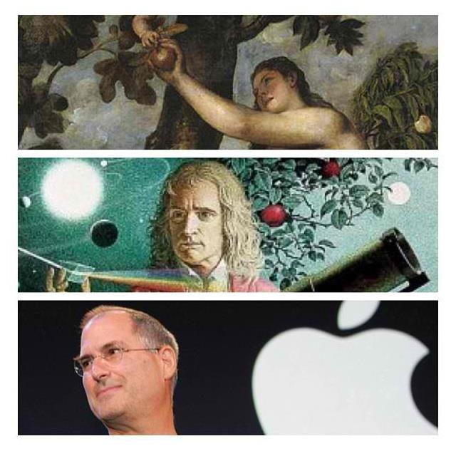 threeapples.jpg