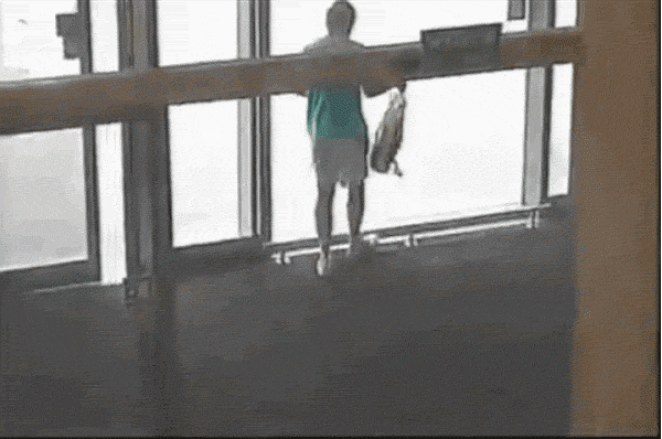 TPqtvKI.gif