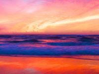 www.pinterest.com.au