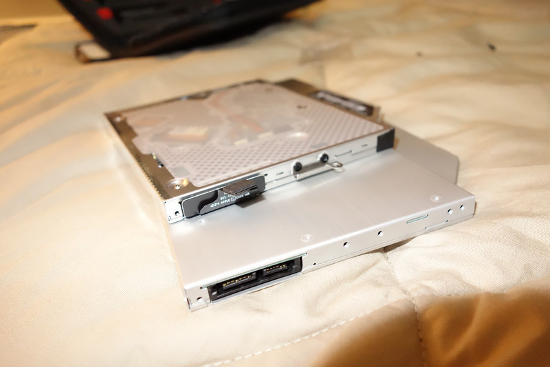 DSC00066-L.jpg