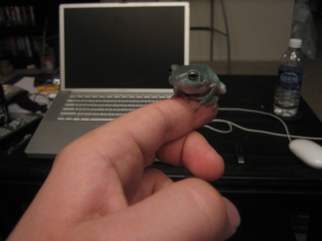 img5344s.jpg