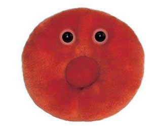 redbloodcell.jpg
