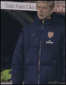 phpgfKNARWenger1.gif