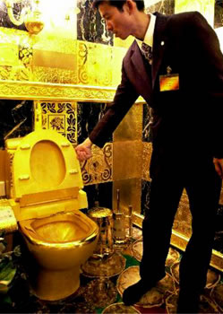 solid-gold-toilet.jpg
