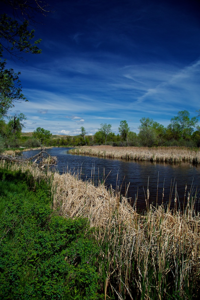 lbh2013052110613.jpg