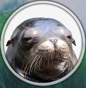 lQcVGqb.jpg