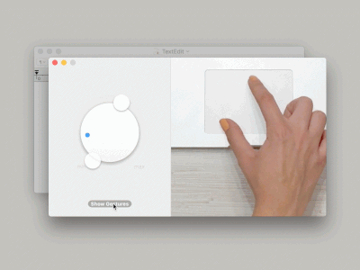 hX80506.gif