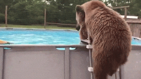 755a7dbab5994f52bb260b61439b7610.gif