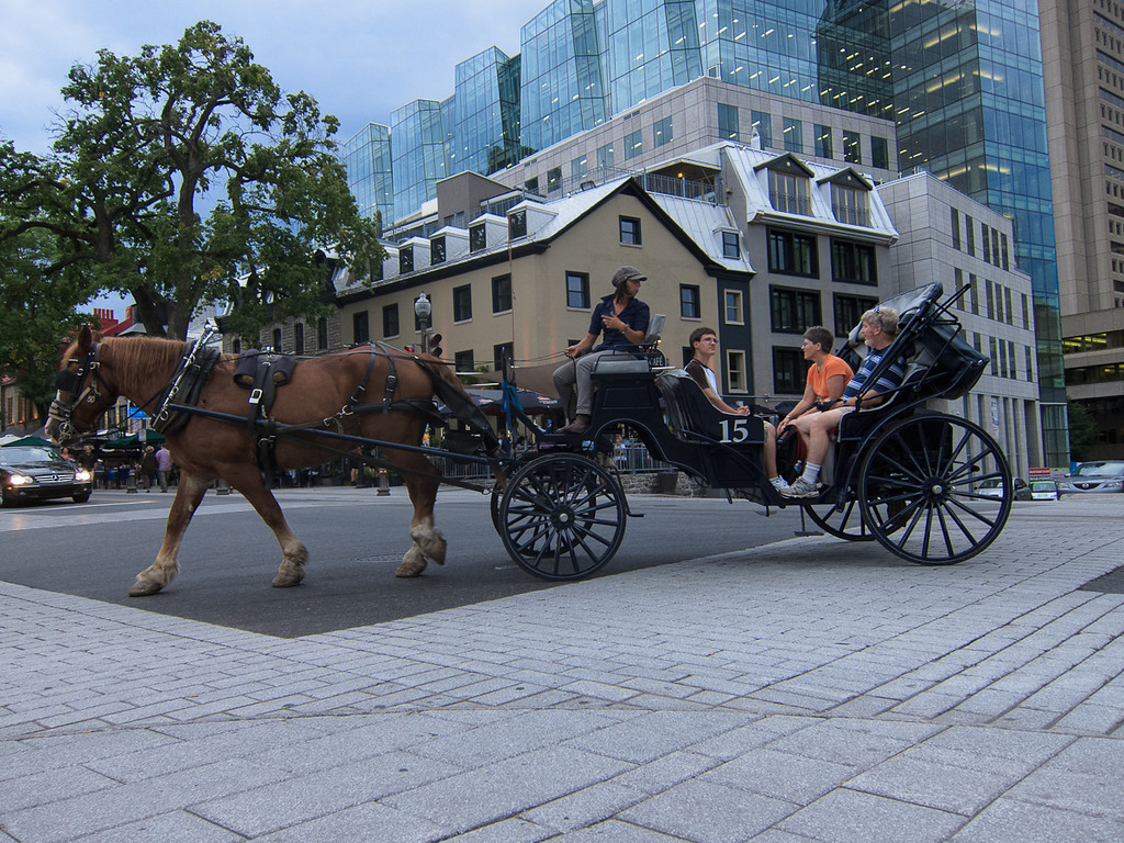 Voyage-a-Quebec-6365-XL.jpg