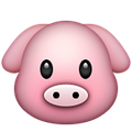 0cc4d265c90689bc5d0f58f704daba64.png