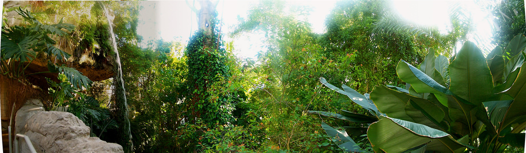 341596119_7c5cf80d9a_b.jpg
