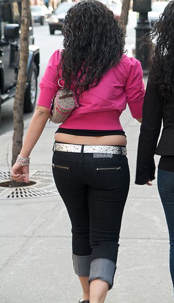 343px-Muffin_top.jpg