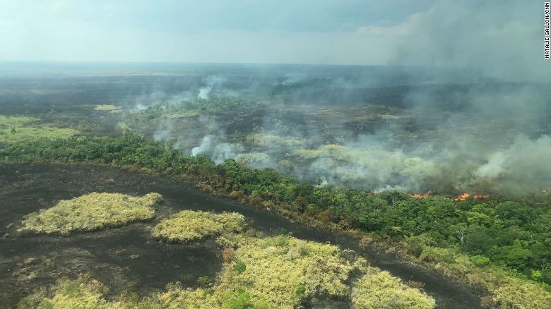 amazonrainforestfire.jpg