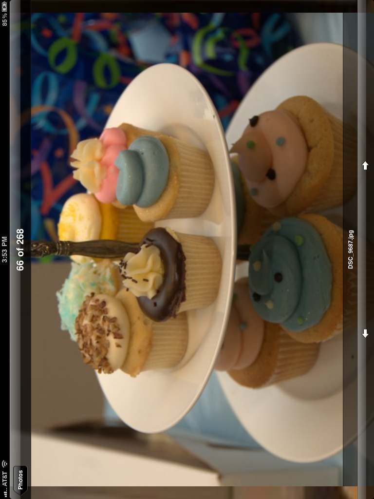 photo7.png