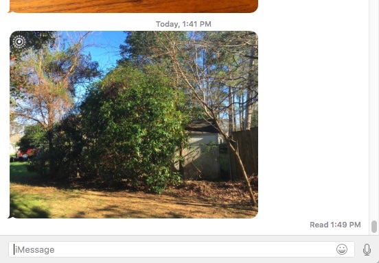 live_photo_mac_messages_1.jpg