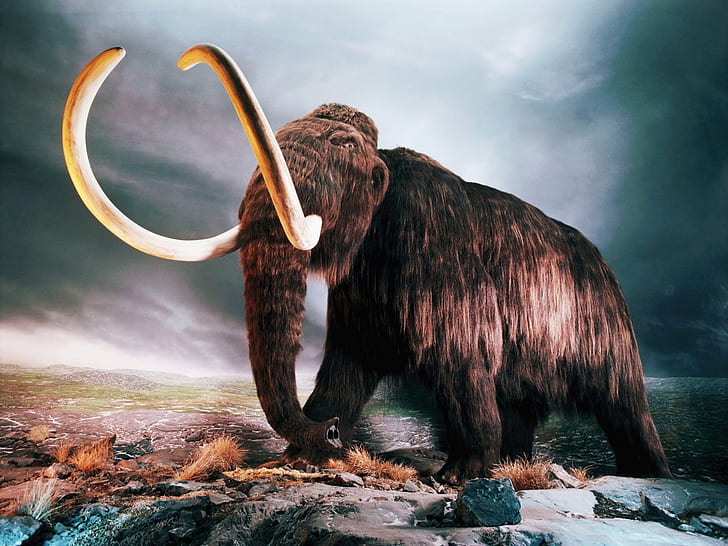 woolly-mammoth-wallpaper-preview.jpg