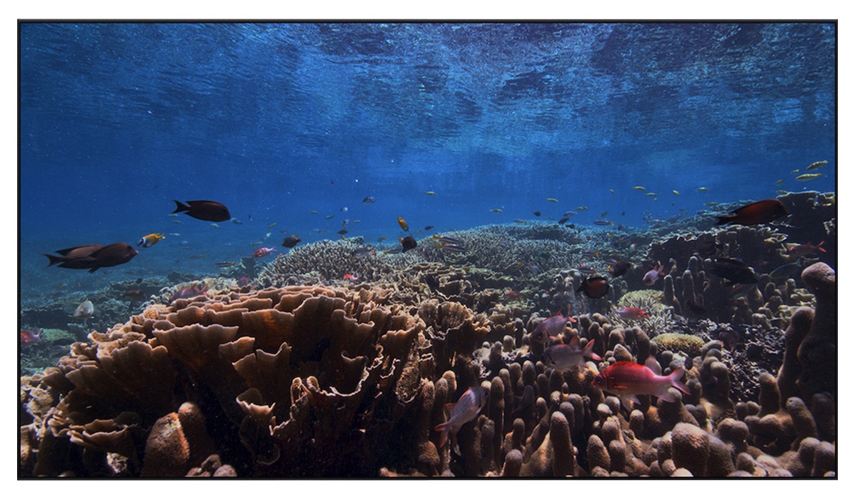 tvos-13-underwater.jpg
