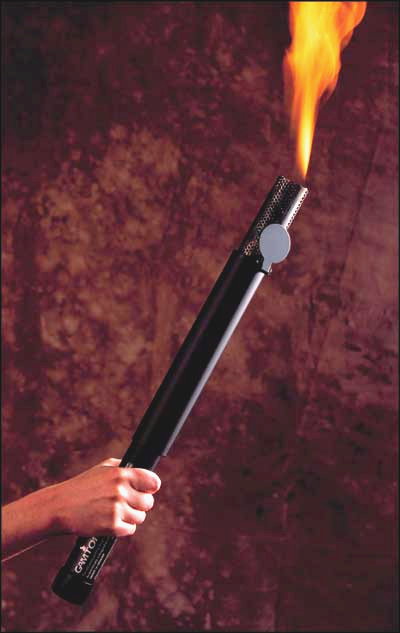 agamtorch2.jpg