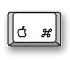 apple-key.gif