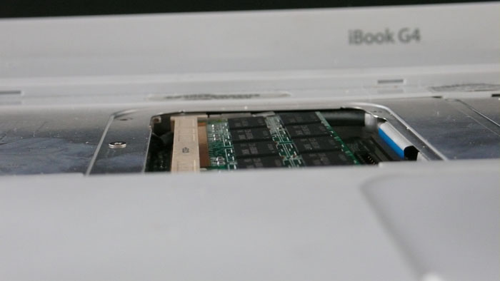 ram1.jpg