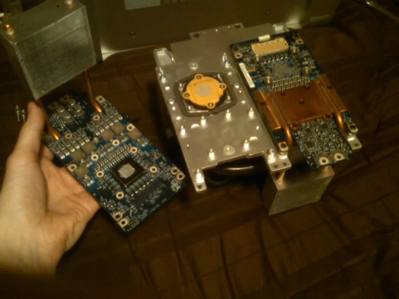 IMG-20110523-00166.jpg
