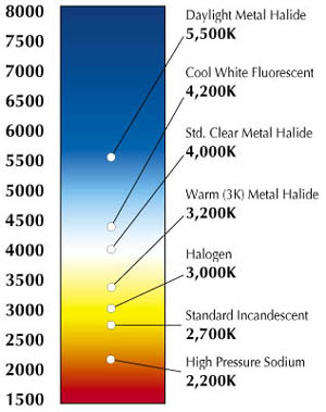 Color%20Temp%20Chart.jpg