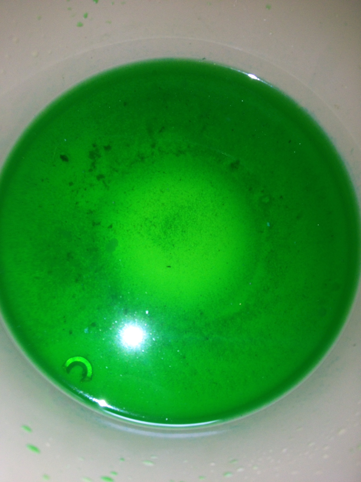 photo-2-4.jpg
