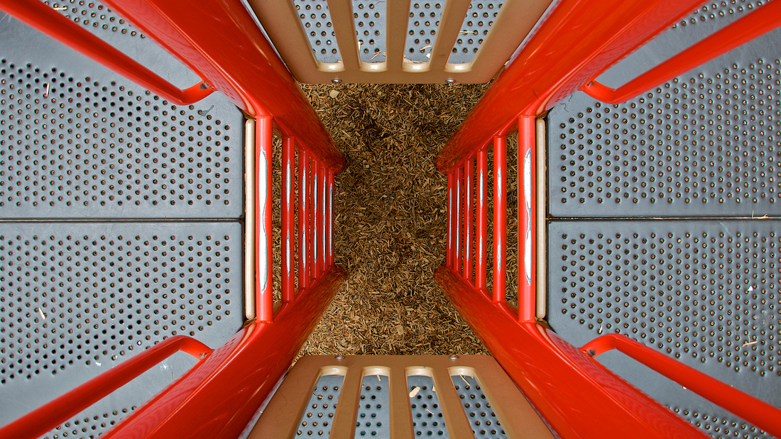 p985114026-5.jpg