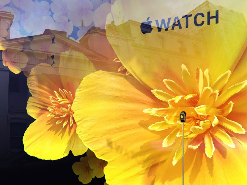 applewatchselfridges1.jpg