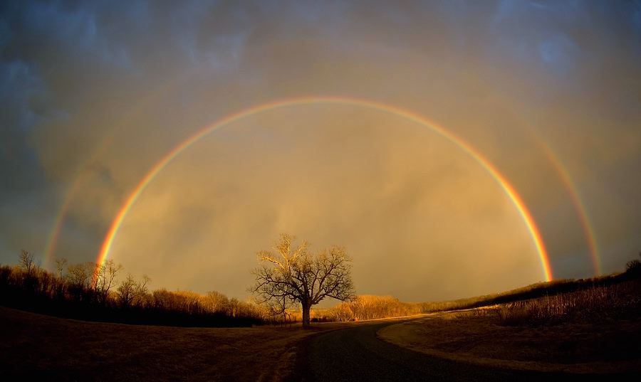 rainbow-double-gold.jpg