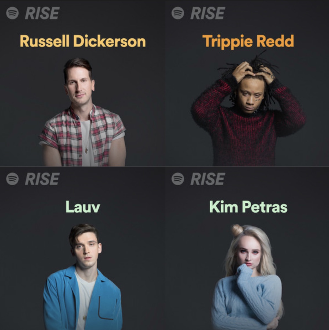 Spotify-RISE.jpg