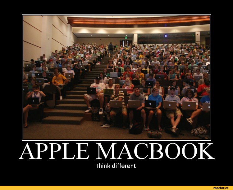 funny-pictures-auto-407471.jpeg