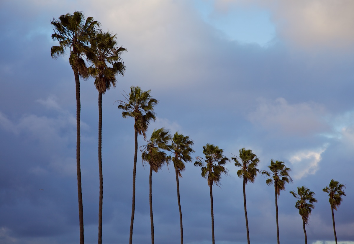 lajolla2433201202111759.jpg
